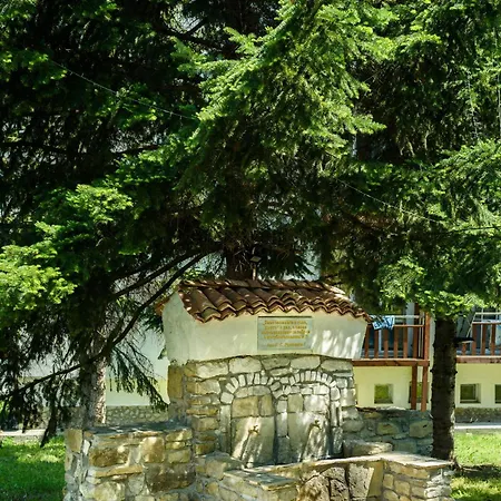 Avocado Veliko Tárnovo