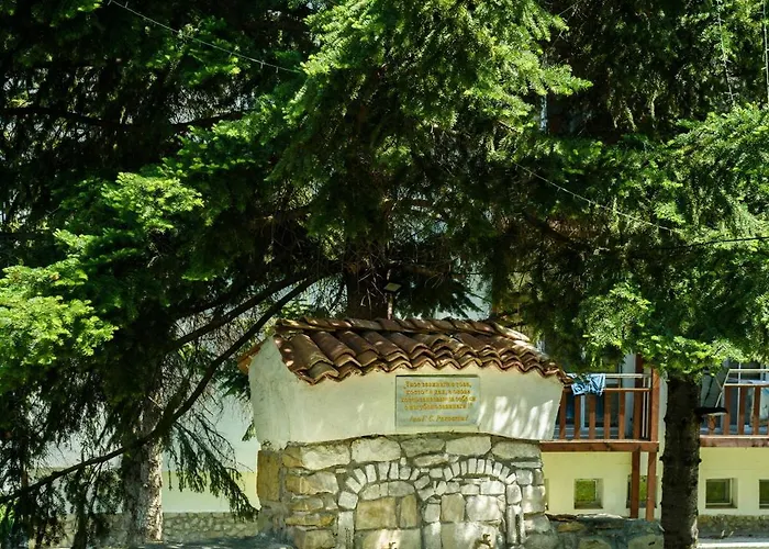 Maracuya 大特尔诺沃